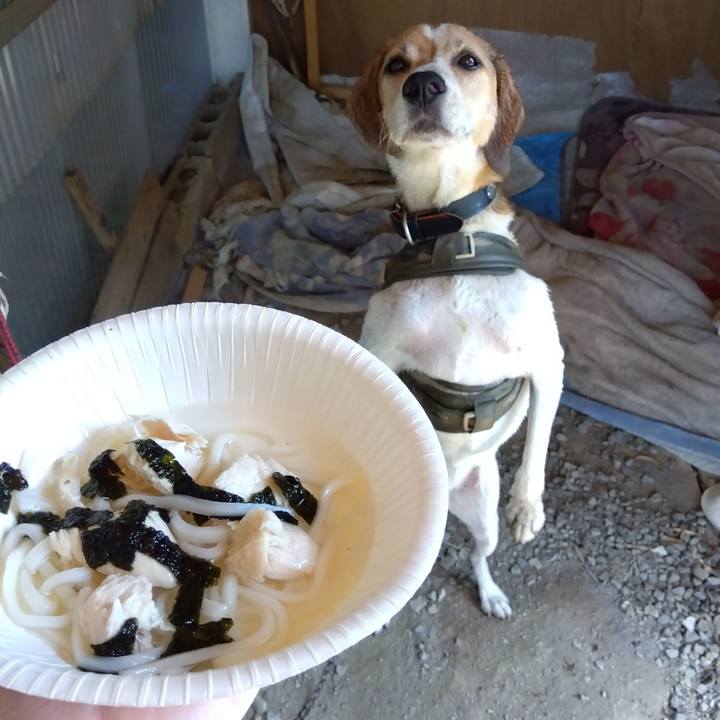 2969b6f8 ef56 4e5b a90c 926d99cf6c5f 1690437023187