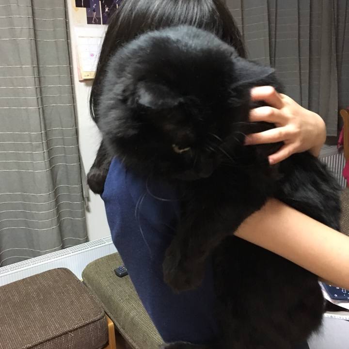 2969d6fc 7f6a 410d a99f e2651f015b2c 1529492466826