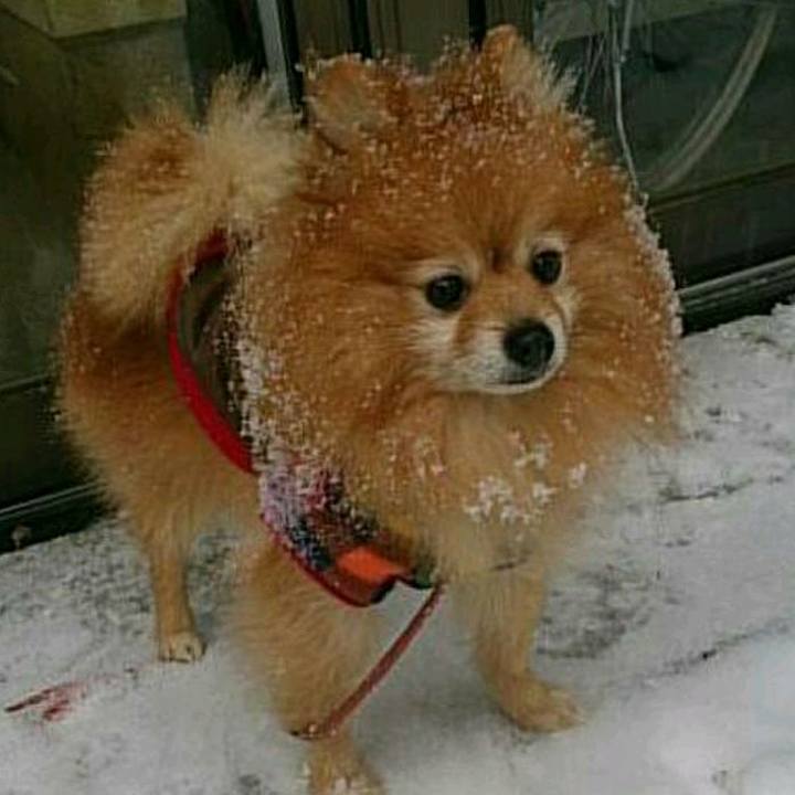 296a20a1 d2c6 446c 8154 cdab94ae2a47 1539642233659