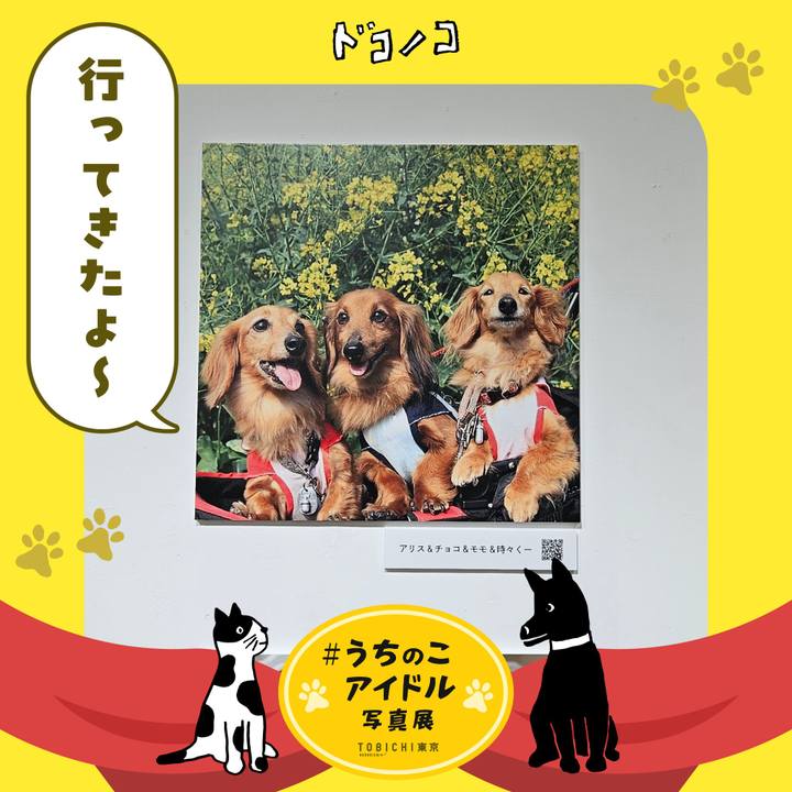 296a34eb 0639 4da8 9207 c4a4ef86f4e9 1761715933307