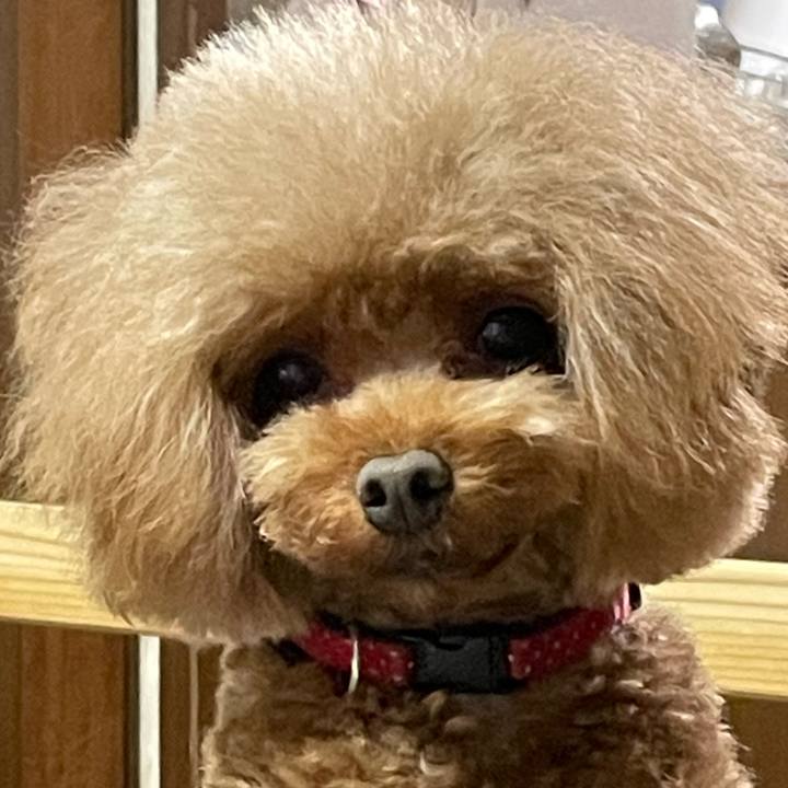 296a3b3a 876b 449b bd13 e4e182cb0e40 1651393768774