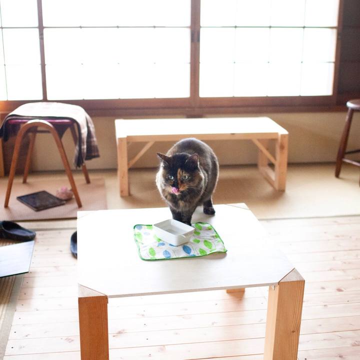 296a51d4 46dc 43a3 816f 3dcb463ed1e1 1578620142825