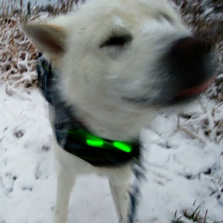 296a7436 40bf 4c99 a0bf 3d2ebdca57d5 1514981041362