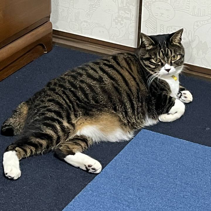 296a8f33 25ba 4ba1 b226 341300883443 1763166268063