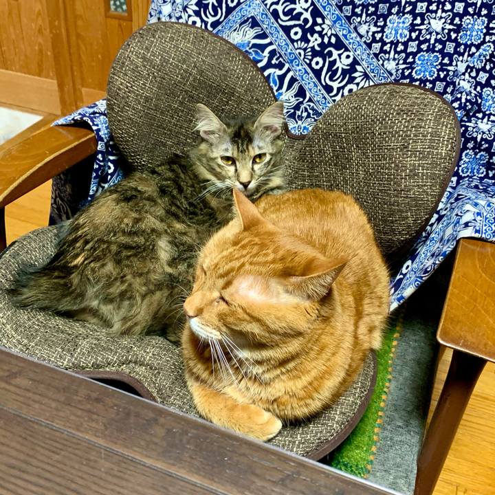 296ab395 2dd8 4672 ae17 f312ea7278af 1648013287062