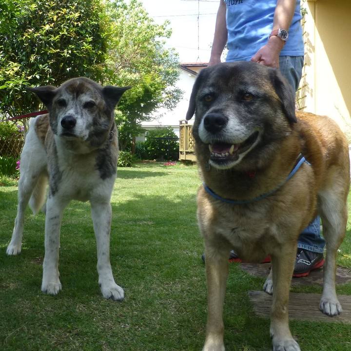 296abadf 20a5 4e59 aa82 72dcda388036 1579949533588