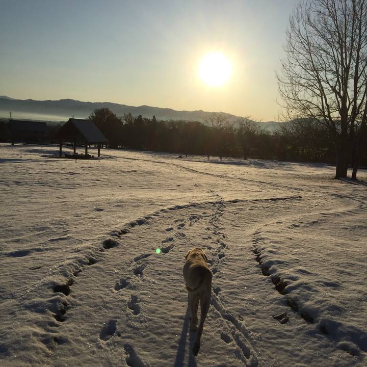 296ac9fc 9f92 4bd9 84eb ac31b8976a3d 1549282288660