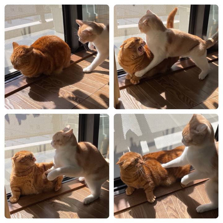 296afa03 2183 44cd a7e9 bcdb542f9fd9 1614601821978