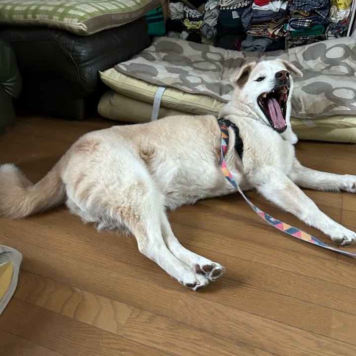 296b0ec3 3481 4a08 9800 2dcad564d33c 1724108114134