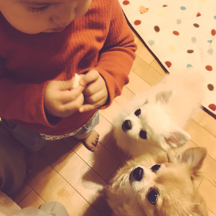 296b163f a497 4cd6 8507 363ef2fc3e07 1542542086665