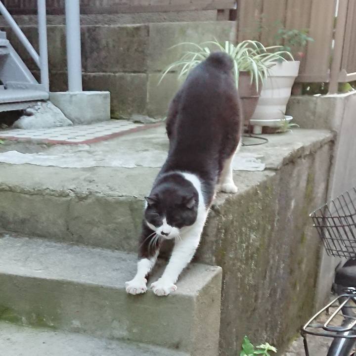 296b4096 9266 4b8a 96d7 31198d3a257f 1679477027758