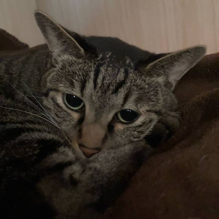 296b5616 fe42 4172 897c cfbb0d887ec7 1626295538961