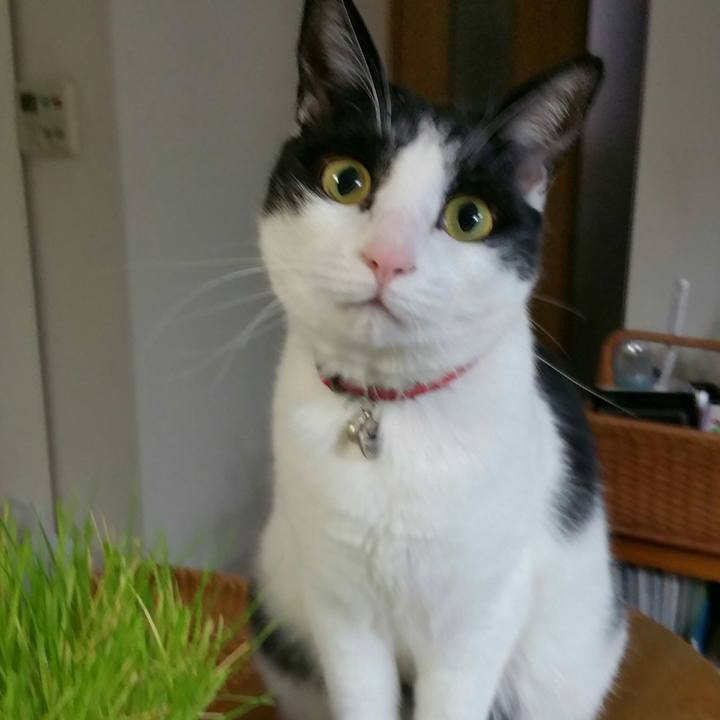 296b5706 f384 4160 8581 b1e0b4785110 1516055249058