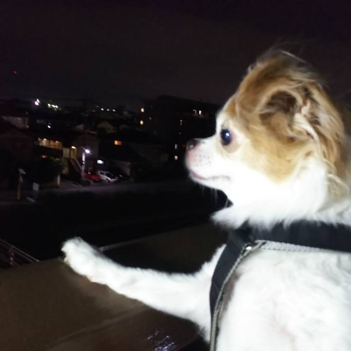 296b58e4 b8d5 40e6 bd20 0adee3a34013 1596299471357