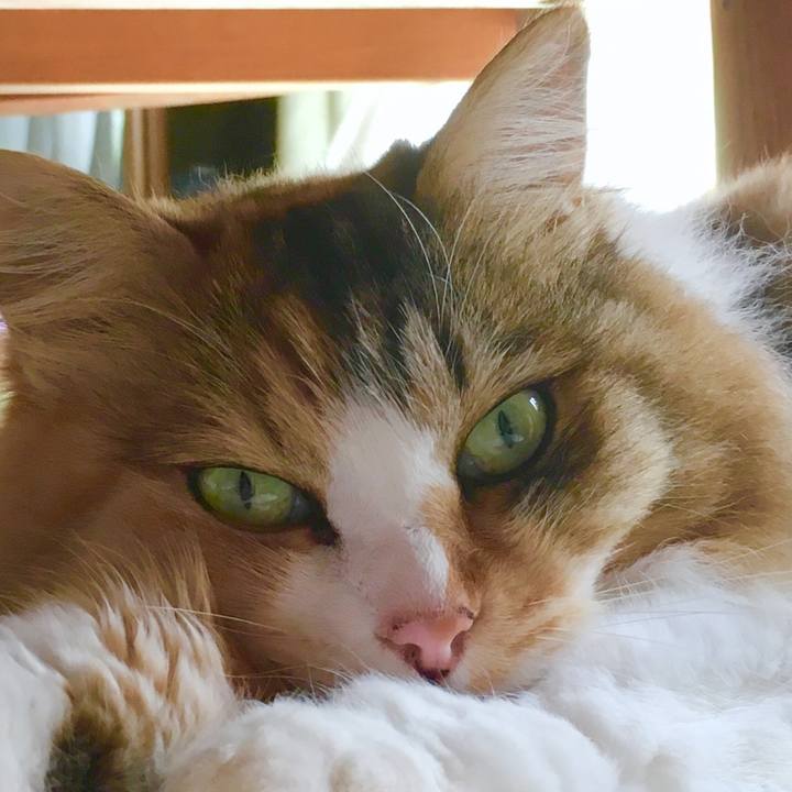 296bb939 dbda 431b 883d 1461ab041c2f 1564902979362