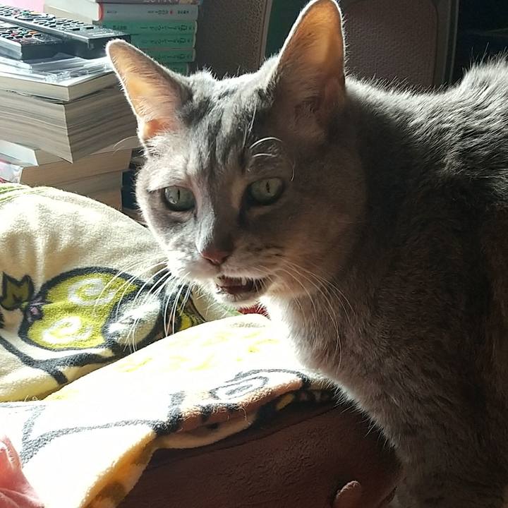 296bdc6a cdd6 4b45 9aa0 a63756fe1cab 1639186078998