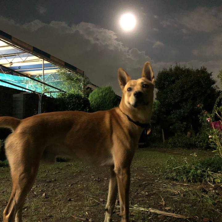 296bf11b 5cbf 442e b225 73733fd39d42 1568462029898