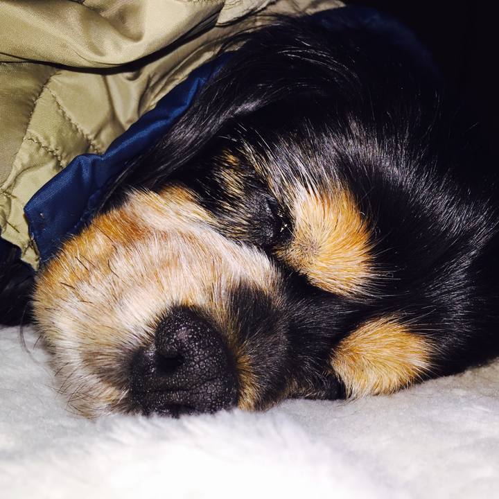 296bfb6d 07e7 46c8 a1a2 9fd5fe191fca 1519376166509