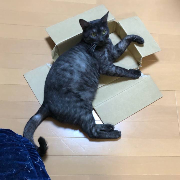 296c0b92 eeaa 4585 ac6e 76f8d0771f14 1598611163318