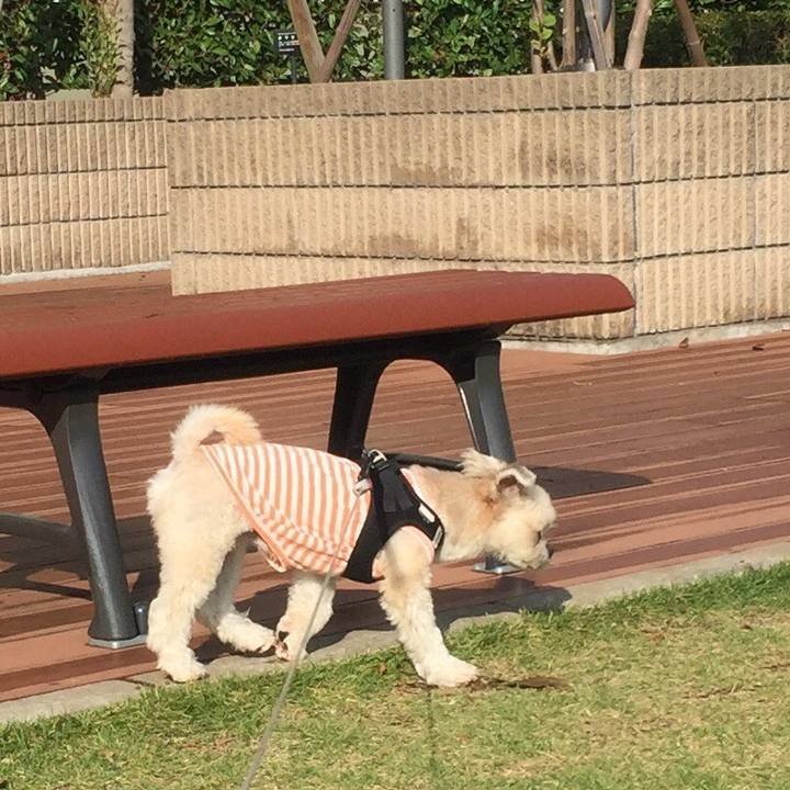 296c4299 7420 4edc b499 4892b40886b5 1539777477397