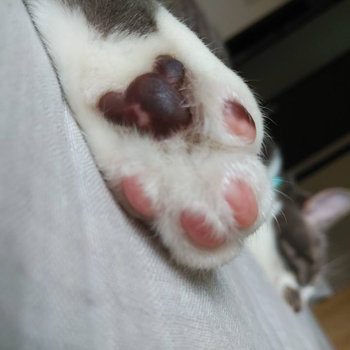 296c8da8 7937 416c 82b7 3cde6c07f379 1593131195404