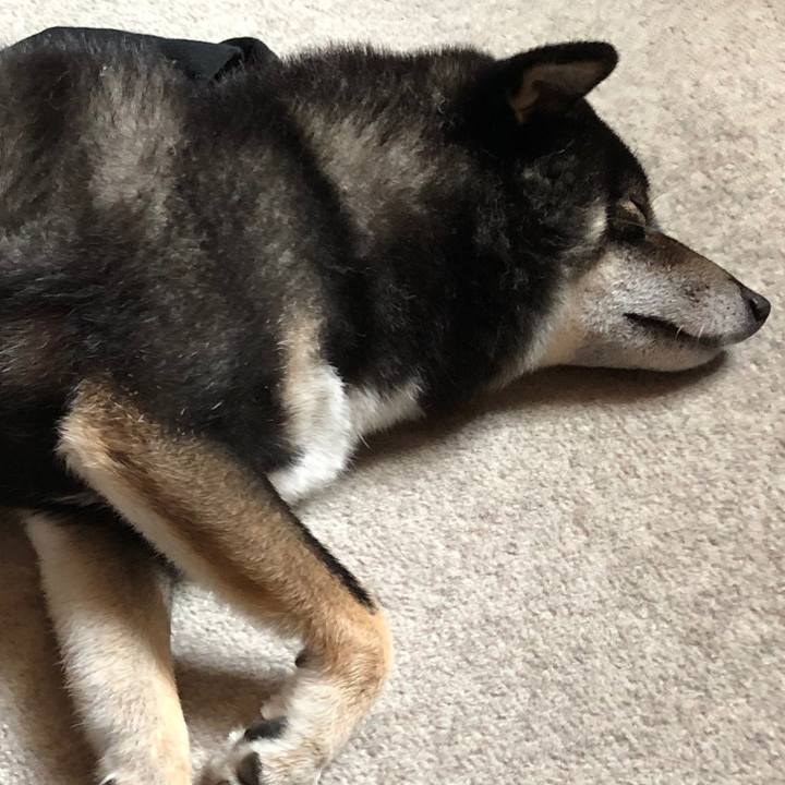 296d05bc b0f7 4eed a8f0 ff3a72814bb0 1564445679122