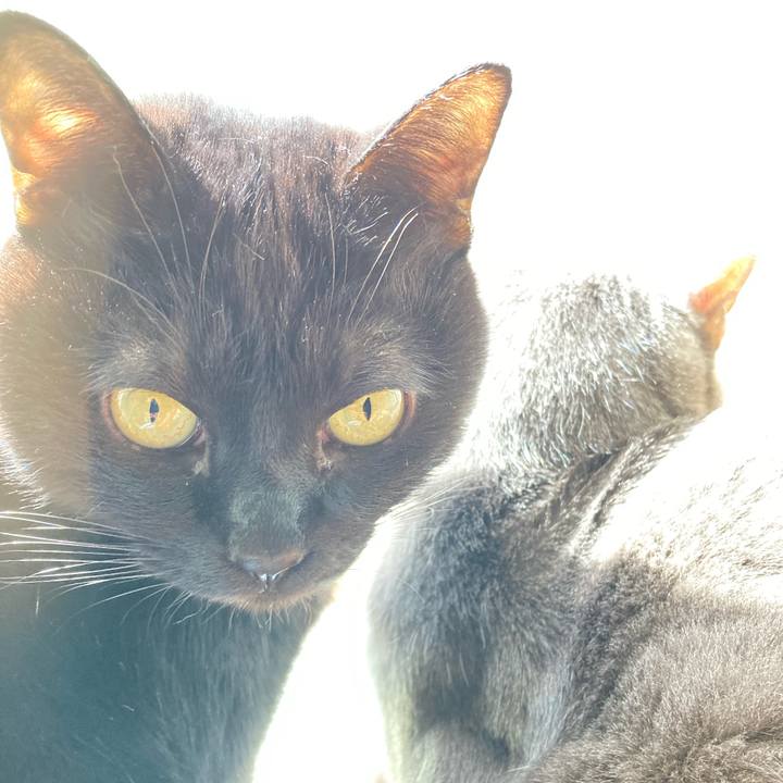 296d0f59 cb0e 4bfa 857b f0e6ed348f51 1675124957512