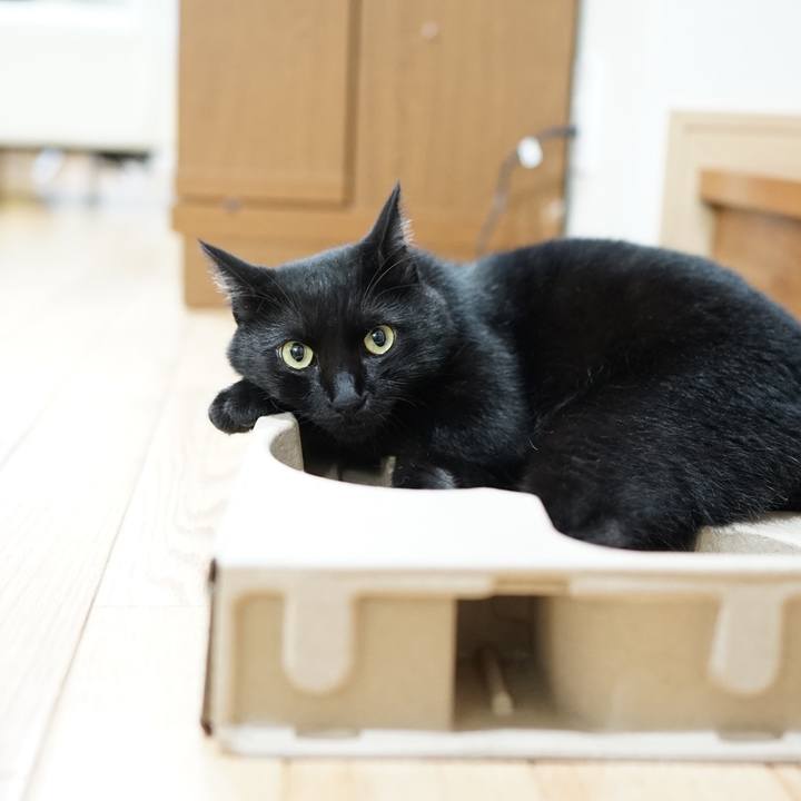 296d3394 1890 40d2 897a 99dace7d3dba 1562888810348