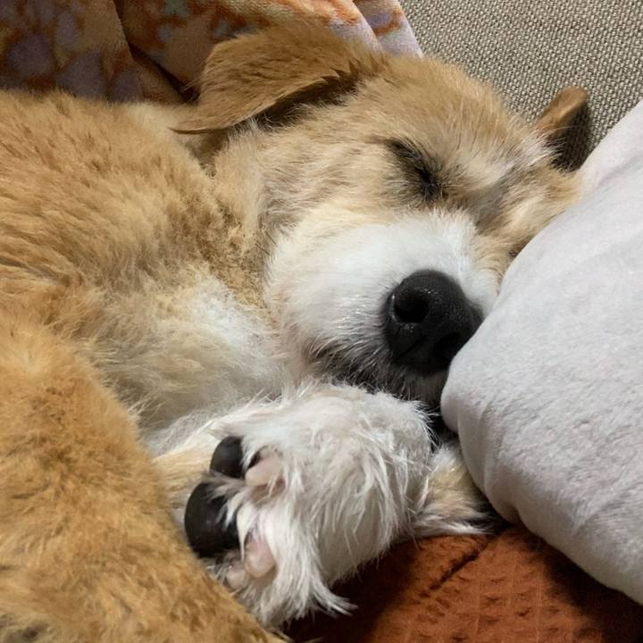 296d4b2f 2b53 4304 86ca fbcd807ceb7d 1587987173735