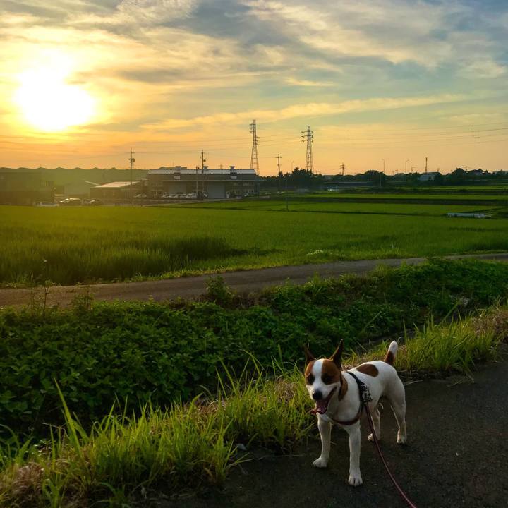 296d9569 a976 4777 8aa1 706b2b4567de 1531483385561