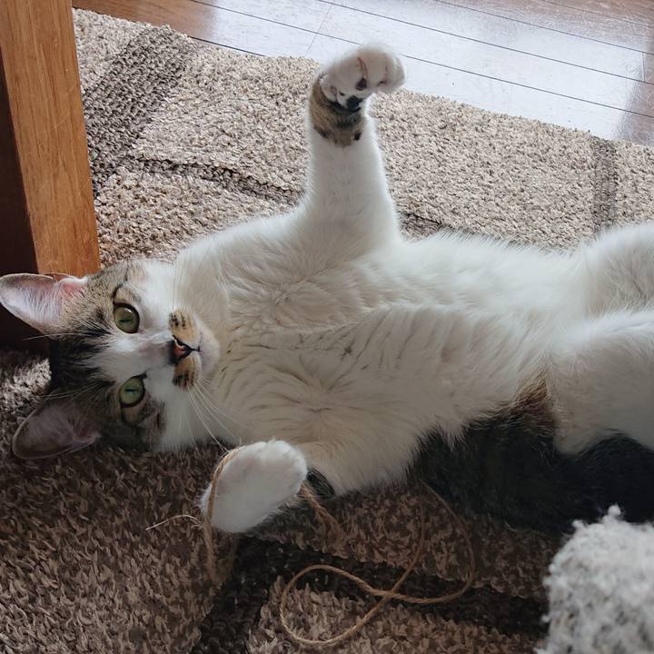 296dd07f 77d0 46c8 87f9 d72619d9e7b0 1584762358266