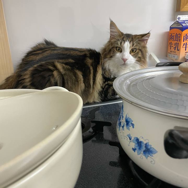 296dd82f dac1 49d7 9e2e 8389010777d2 1640774556610