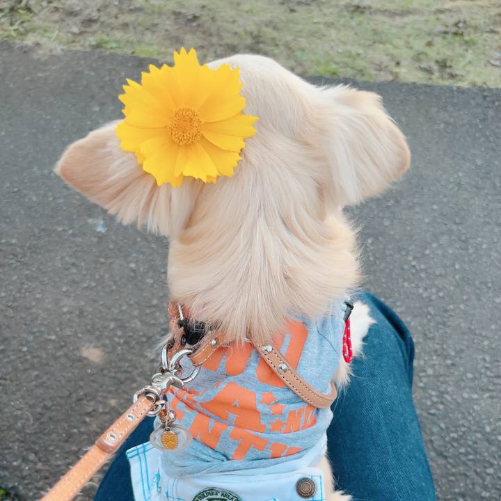 296dde8a e53b 44c3 9d26 115519a631bf 1715939332604