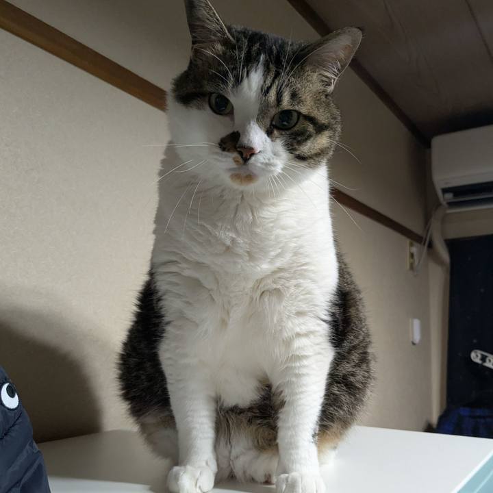 296df5e9 f0f5 45ce 944b fe604457d685 1750246123442