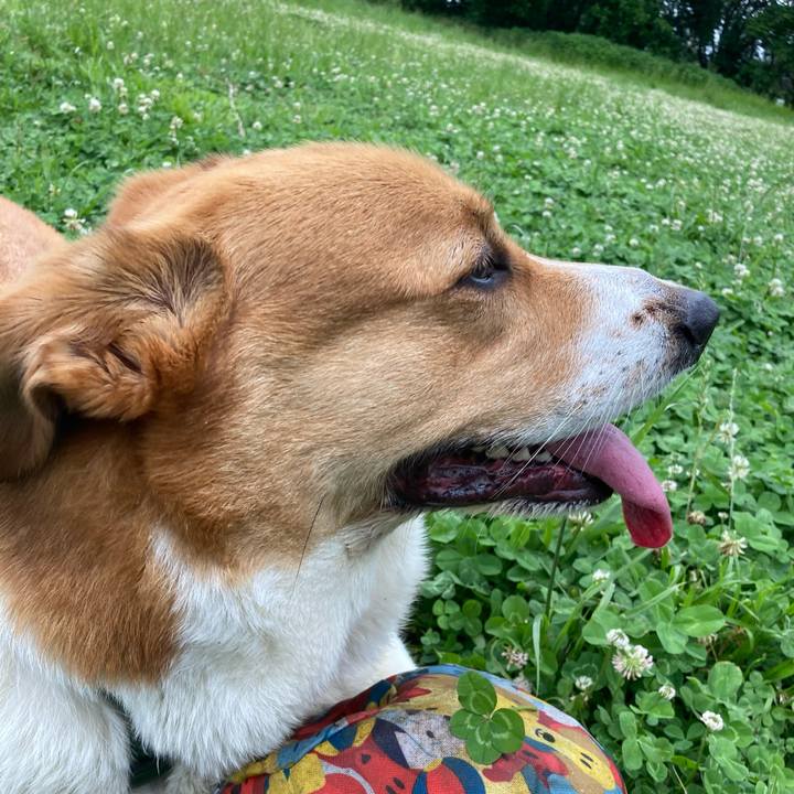 296e1938 610e 4583 9dc0 e4f3294bdbd4 1717114547745