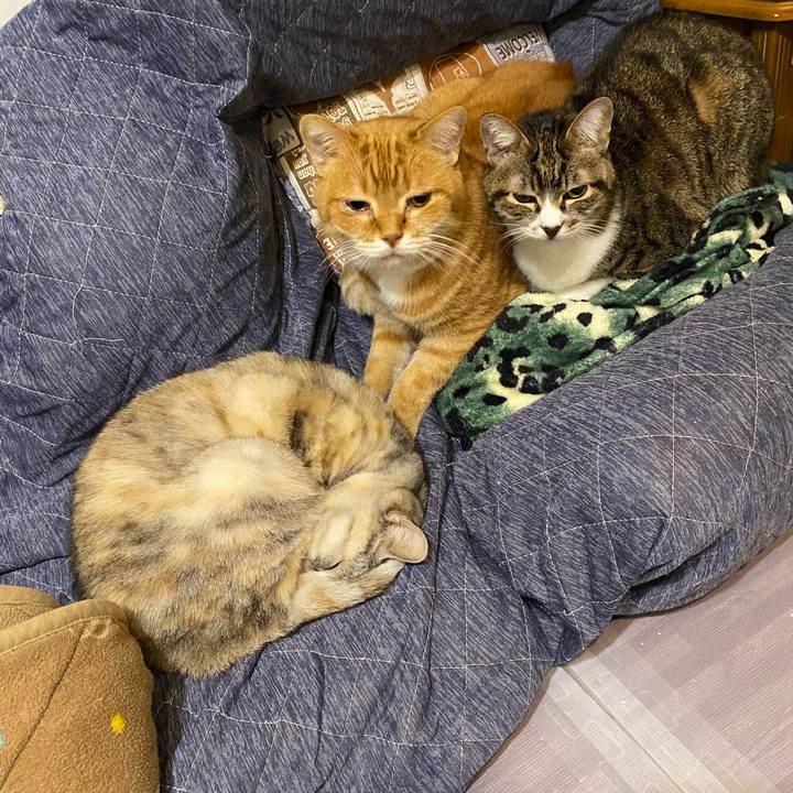 296e1dd8 304f 41a5 86b2 bce01cabae42 1640638996360