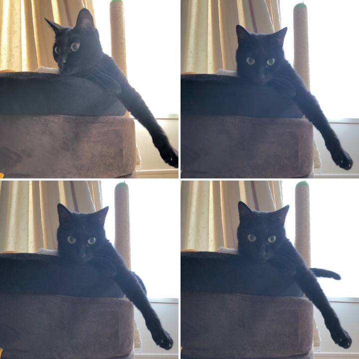 296e2302 4d14 49b4 b982 9d9a524f0b45 1636552562085