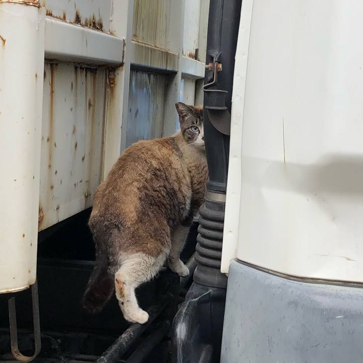 296e3b40 3007 4b24 9c1f 09d8e2a4f193 1525950869329