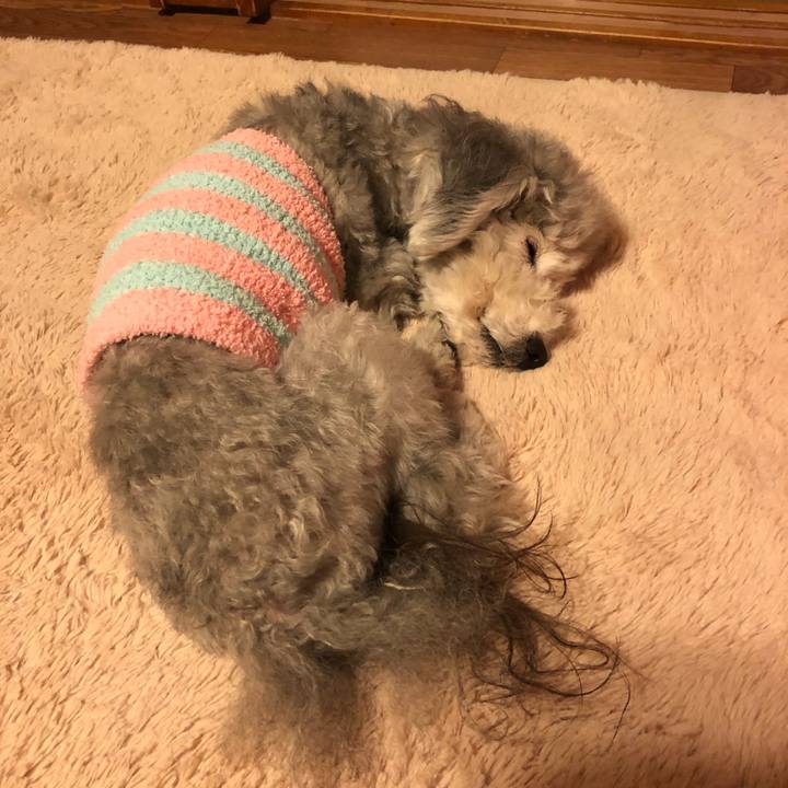 296e72f4 cacd 48ed 966d b5e1aa2d5be0 1549236155010