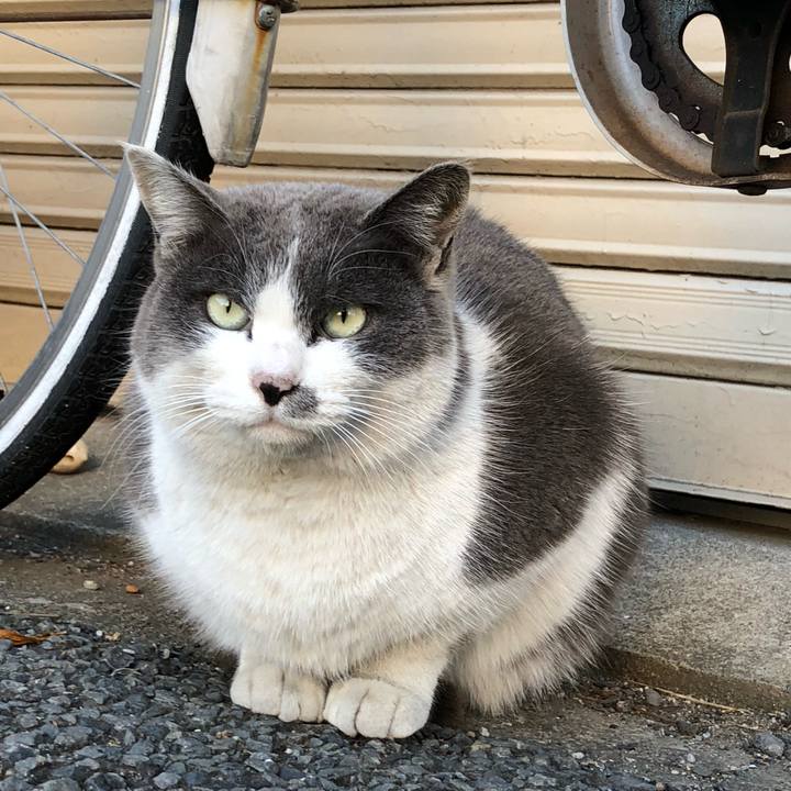 296e9f49 b5c7 4595 b2e5 803482a635e3 1547988100777