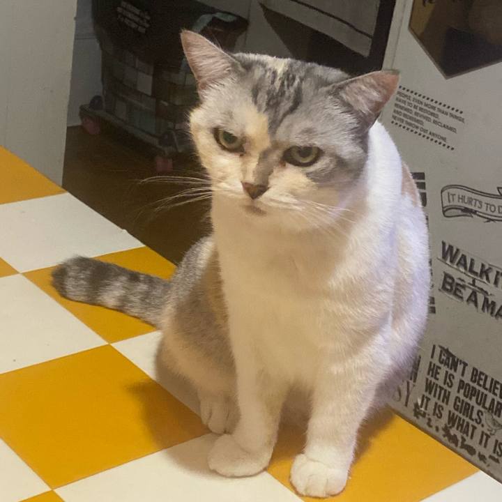 296eaef7 9610 48dc b55d 566afe1fc162 1696085366519