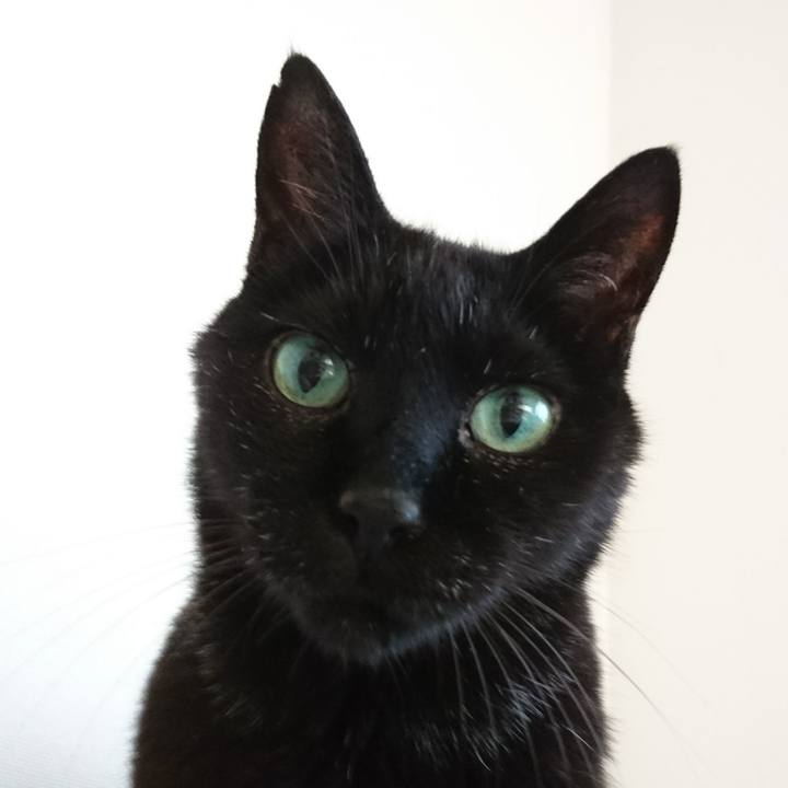 296ec989 aa16 40f8 84ce f5b6558d8e09 1558952824760