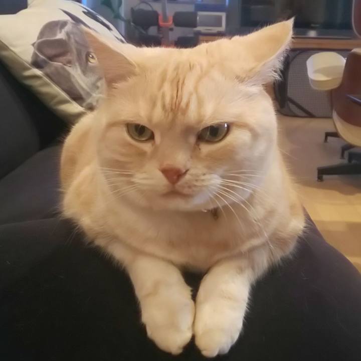 296ed0cc a547 4b97 986f 93c934562c91 1580371725943