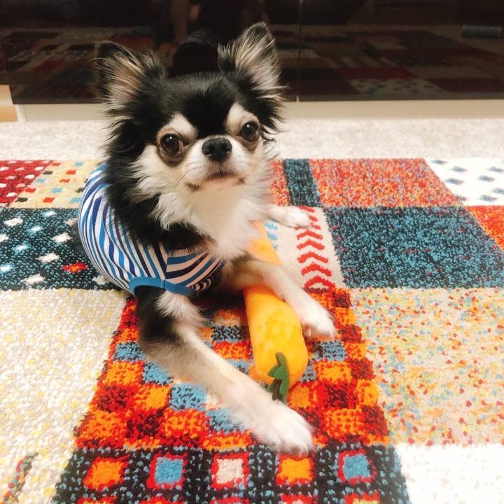 296f2b2f 4c1e 4158 985f e790aaf1c8dd 1694357386811