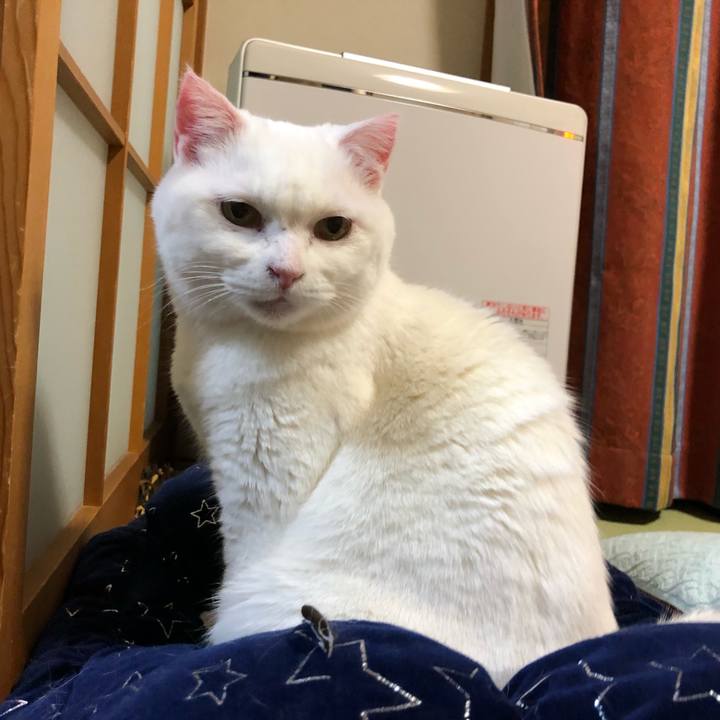 296f4997 9d87 41e6 86f8 73e08b6bbcfb 1553518503907