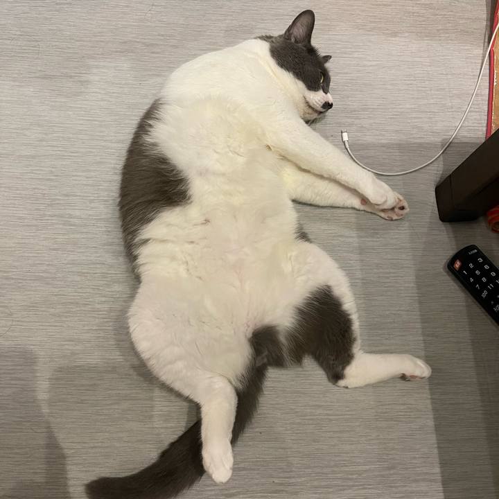 296f49db 41ed 41a2 9387 91a8a5e070d6 1753557659158