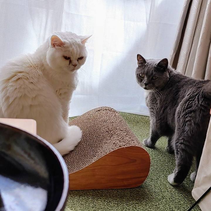 296f866b 1fa8 479f a32b b82dd308a494 1644117985993