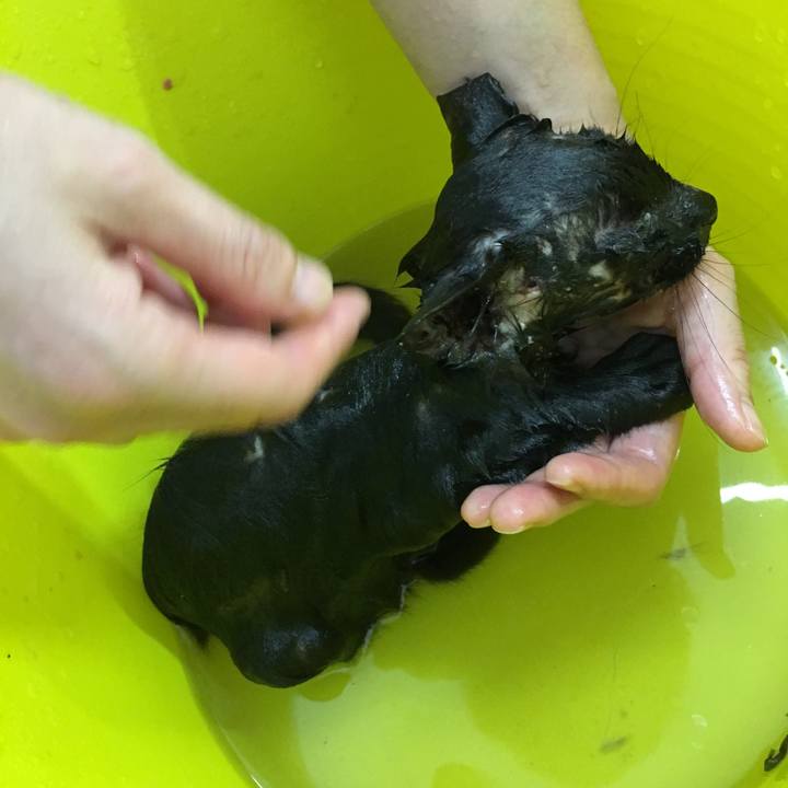 296fa2b3 8c3d 4ef0 b916 eec4ec41646f 1532454135887