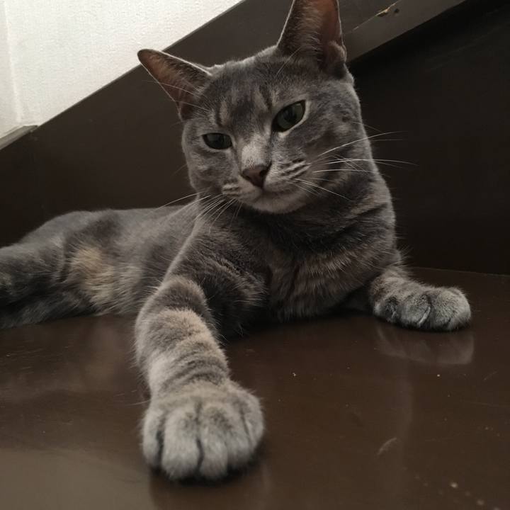 296fbdb4 0e87 4ba4 b047 8c3d236bccf5 1569986709219