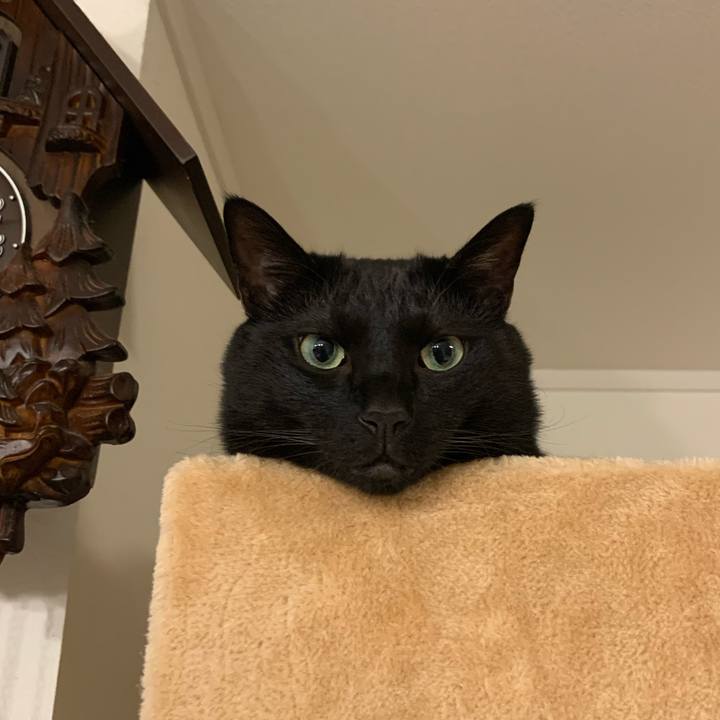 296feb6d 608e 480c 884d 289d7dfb3809 1590938230106